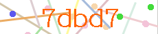 Verificador