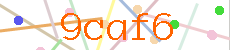 Verificador