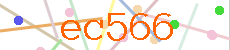 Verificador