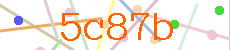 Verificador