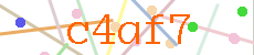 Verificador