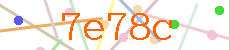 Verificador