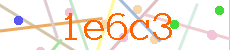 Verificador