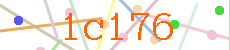 Verificador