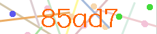 Verificador