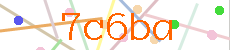 Verificador