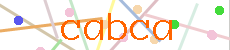 Verificador