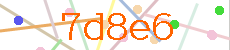 Verificador