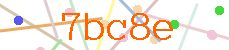 Verificador