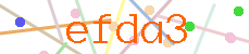 Verificador