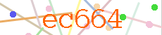 Verificador