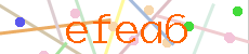 Verificador