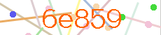 Verificador