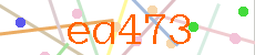 Verificador