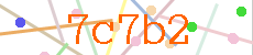 Verificador