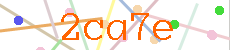 Verificador