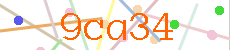 Verificador