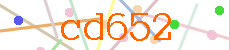 Verificador