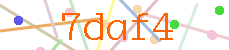 Verificador