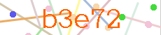 Verificador