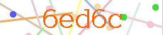 Verificador