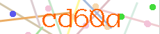 Verificador