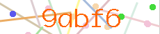 Verificador