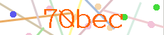 Verificador