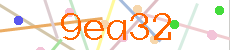 Verificador