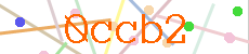 Verificador