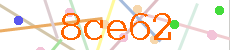 Verificador