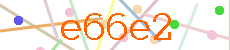 Verificador