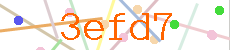 Verificador