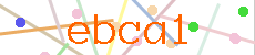 Verificador