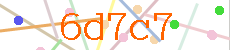 Verificador