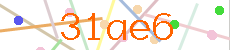 Verificador