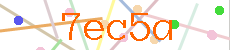 Verificador