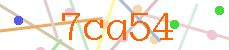 Verificador