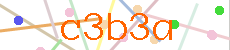 Verificador
