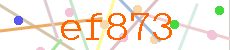 Verificador