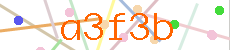 Verificador