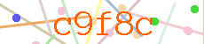 Verificador