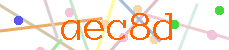 Verificador