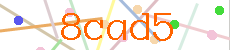 Verificador