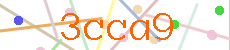 Verificador
