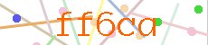 Verificador