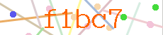 Verificador