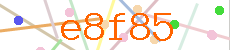 Verificador