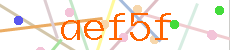 Verificador