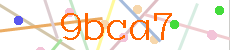 Verificador